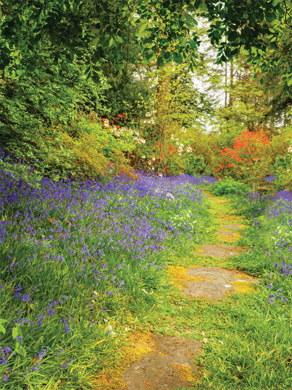 Enchanted Garden Path Photography Backdrop - Serene garden path photography backdrop with purple wildflowers and lush greenery, ideal for springtime photoshoots.