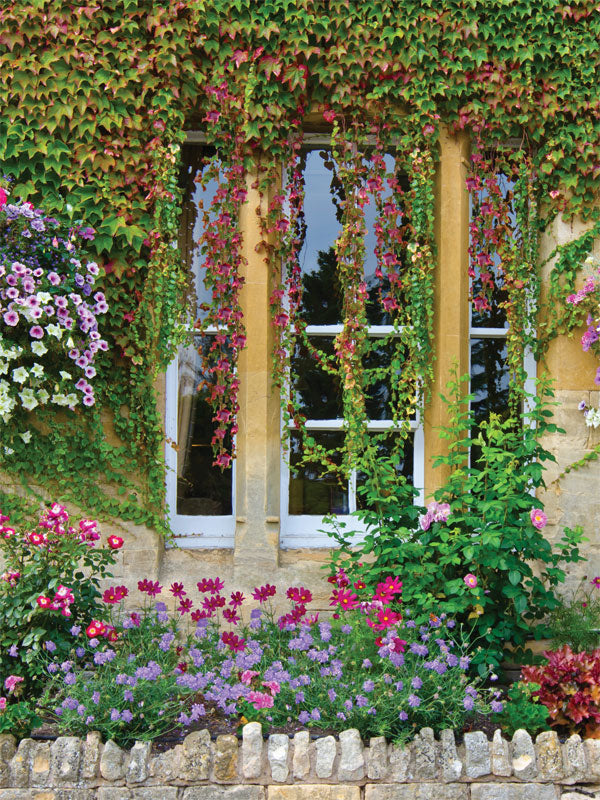 English Garden Window Photography Backdrop - English Garden window photography backdrop featuring ivy, flowers, and stone walls, perfect for romantic and natural-themed photoshoots.