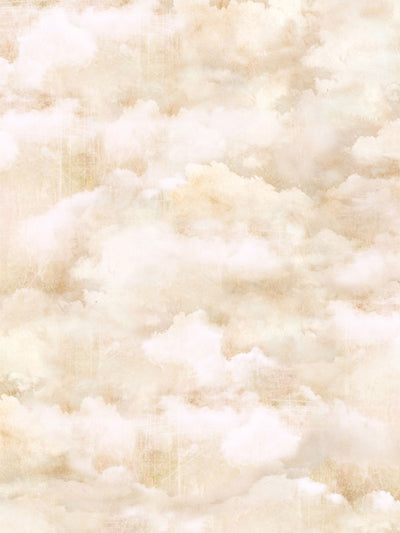 Ethereal Cloudscape Photography Backdrop - Ethereal cloudscape photography backdrop with soft, dreamy clouds in cream and beige tones for professional use.