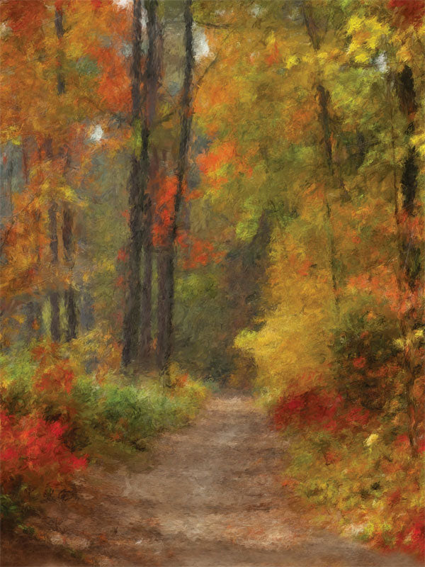 Printed autumn backdrop with warm-colored trees and winding dirt path.