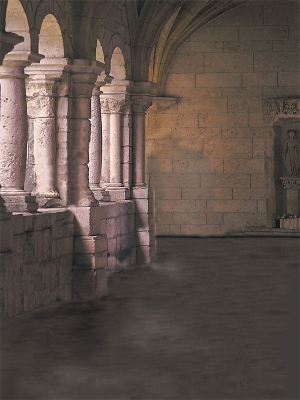 A gothic-style photography backdrop featuring medieval stone archways, soft moody lighting, and a historic corridor setting, ideal for fine art portraits and fantasy shoots.