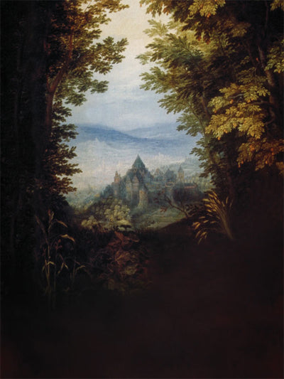 A fairytale photography backdrop showing a distant castle framed by dark forest foliage and a misty sky.