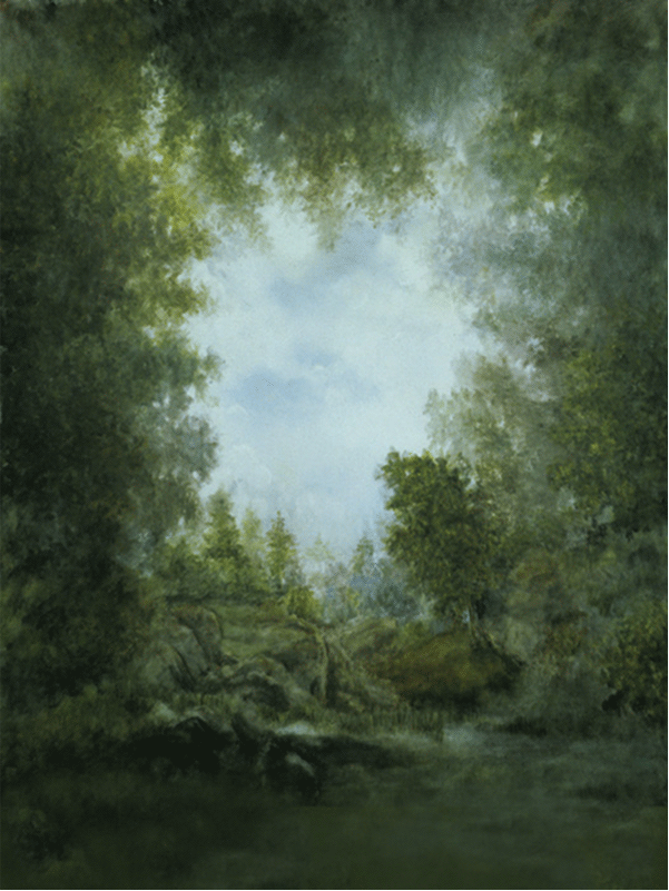 A lush green forest photography backdrop with misty trees, an open clearing, and soft natural lighting, ideal for rustic and fantasy-inspired portraits.
