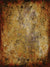 Warm-toned studio backdrop with aged amber and vintage surface cracks.