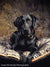 Earthy and expressive studio background with aged detail and glow.