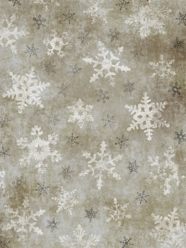 Frosty Snowflake Photography Backdrop - Winter-themed photography backdrop featuring detailed snowflakes against a soft, silver and gold textured background.