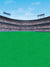 Sports stadium scene with green turf, cheering crowd, and open blue sky.
