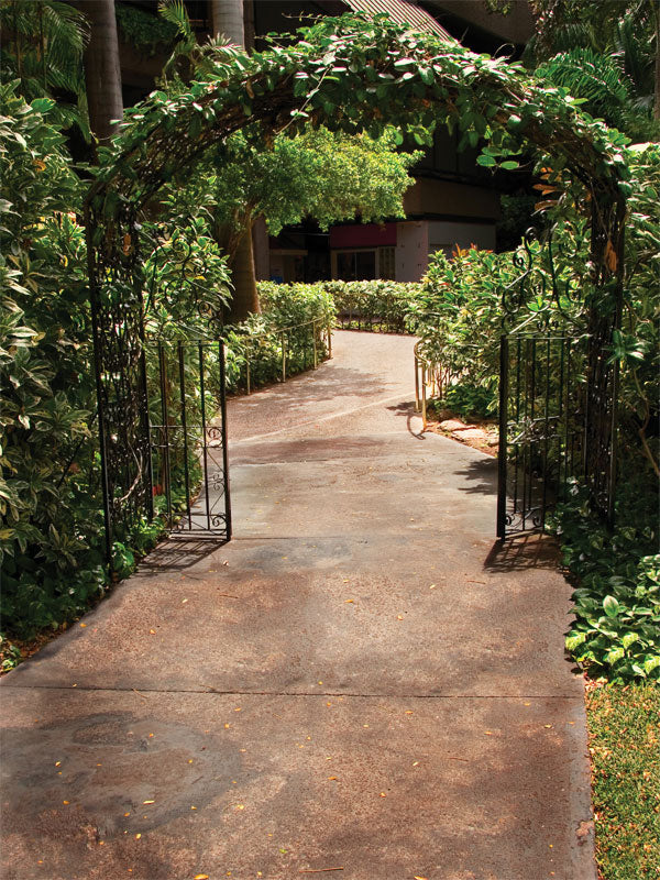 Sunlit garden walkway with wrought iron arch and lush hedges.