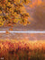 Golden Autumn Lakeside Photography Backdrop - A golden autumn lakeside photography backdrop featuring overhanging branches with orange and yellow leaves, a shimmering lake, and golden grasses.