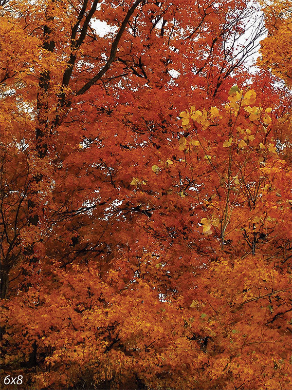 Golden Autumn Leaves Photography Backdrop - Photography backdrop featuring a vibrant cluster of autumn leaves in shades of orange, red, and yellow, ideal for fall-themed photoshoots.