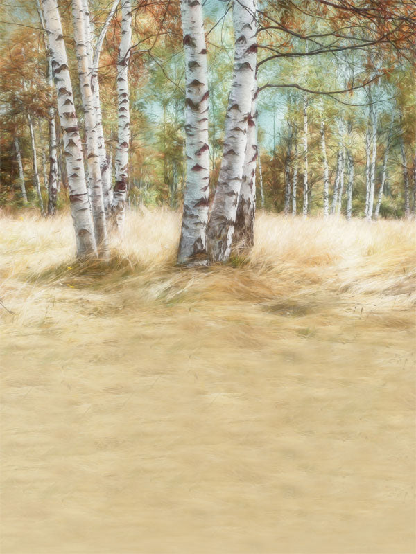 Golden Birch Forest Photography Backdrop - Photography backdrop featuring a serene forest of birch trees with golden grass and a soft blue sky.