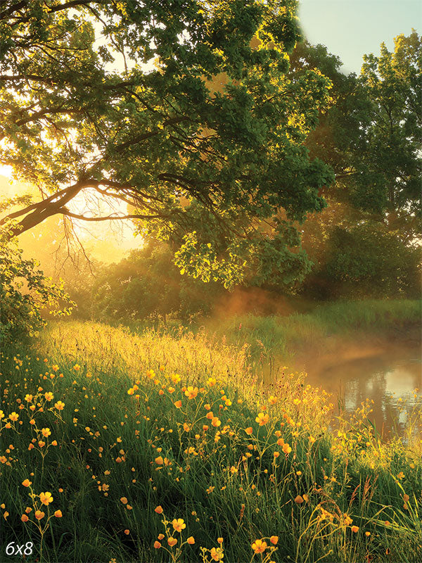 Golden Meadow Sunrise Photography Backdrop - Photography backdrop of a sunlit meadow filled with yellow flowers, perfect for nature-themed and outdoor photography.