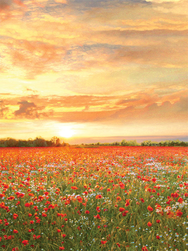 Golden Poppy Field Sunset Photography Backdrop - Golden Poppy Field at Sunset photography backdrop featuring a vibrant field of red poppies and a glowing sunset sky.