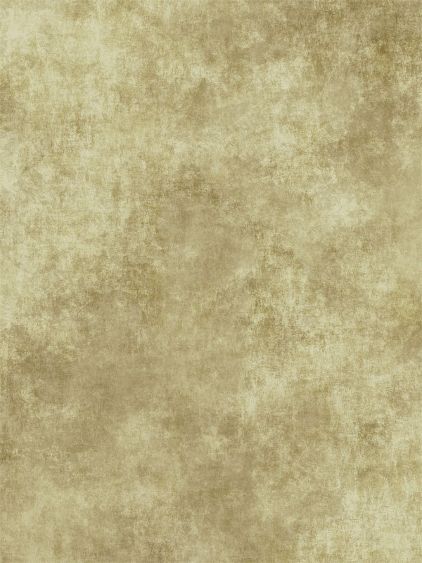 Golden Vintage Texture Photography Backdrop - A soft, golden vintage texture backdrop for photography, perfect for portraits, product shots, and family photoshoots.