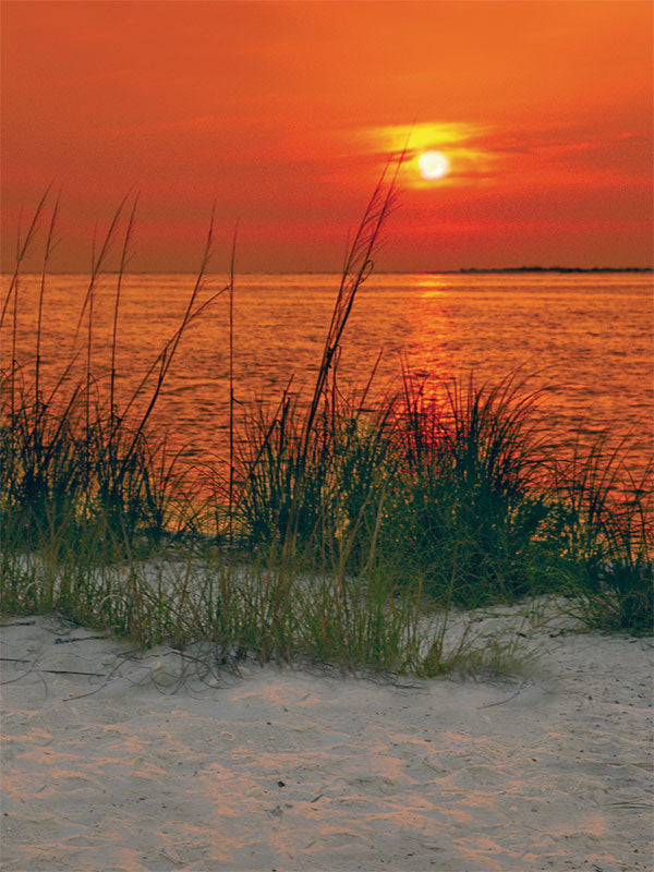 A stunning sunset photography backdrop featuring warm golden hues, soft beach grass, and ocean reflections—ideal for romantic and travel portraits.