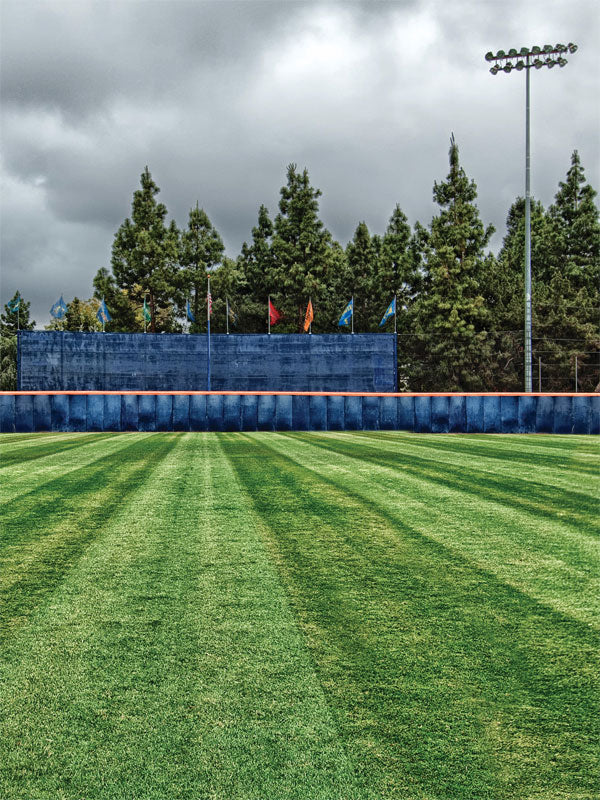 Green Grass Baseball Backdrop - Pristine baseball field with lush green grass, a deep blue outfield wall, colorful flags, and a cloudy gray sky.