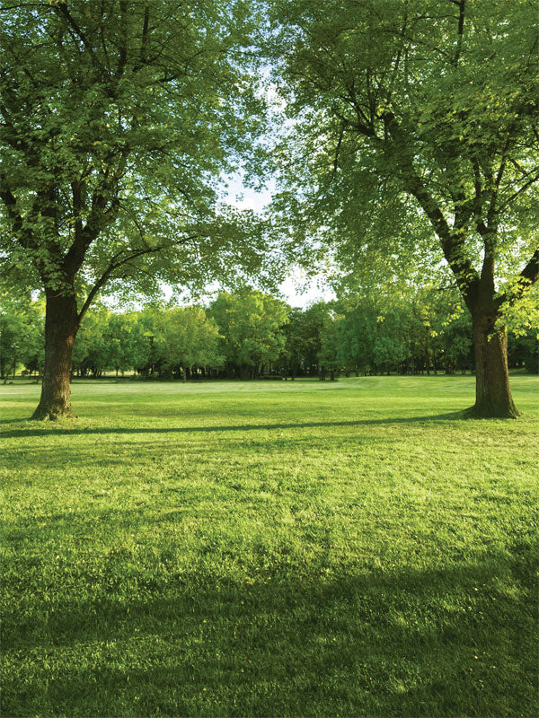 Green Park Photography Backdrop - Green park photography backdrop featuring trees, grass, and sunlight, ideal for outdoor-themed photoshoots. Available in multiple sizes and materials.