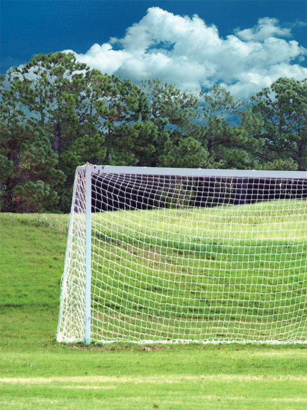 Outdoor soccer field backdrop with centered goal, grassy turf, and tree line.