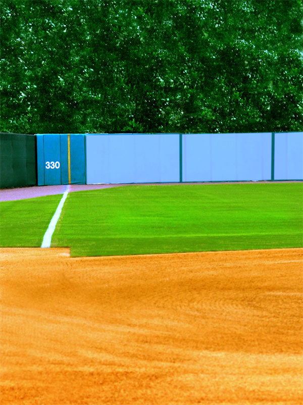 A baseball photography backdrop featuring a bright outfield, foul line, and a classic 330-foot marker on the outfield wall.