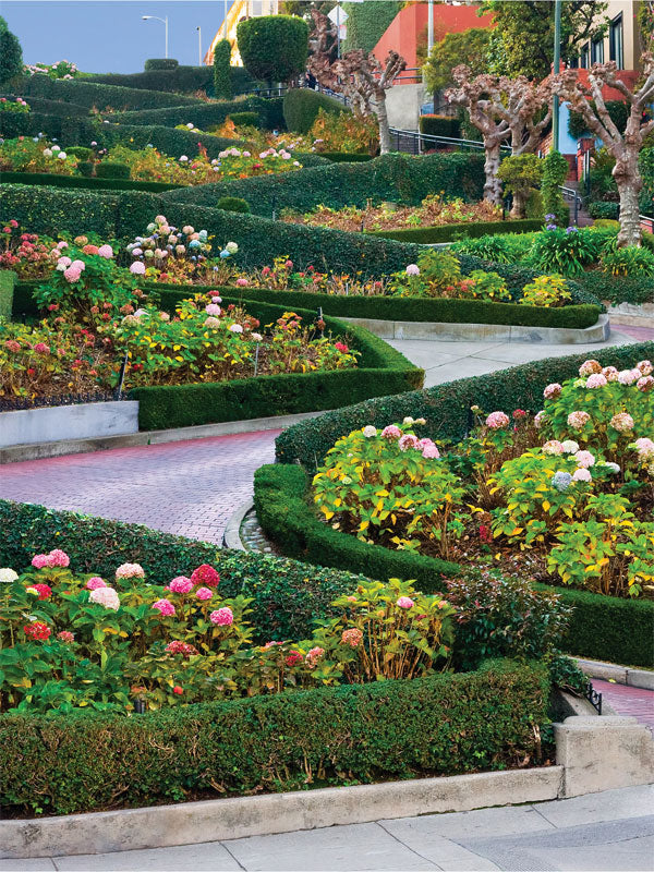 Lombard Street Garden Photography Backdrop - Lombard Street-inspired garden photography backdrop featuring winding brick pathways, lush green hedges, and blooming flowers.