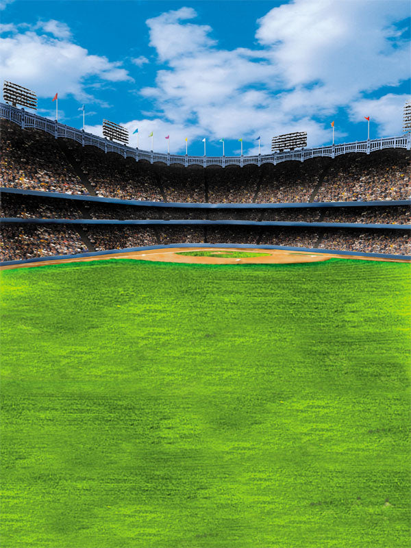 A dynamic sports photography backdrop featuring a packed stadium, bright blue sky, and vibrant green field.