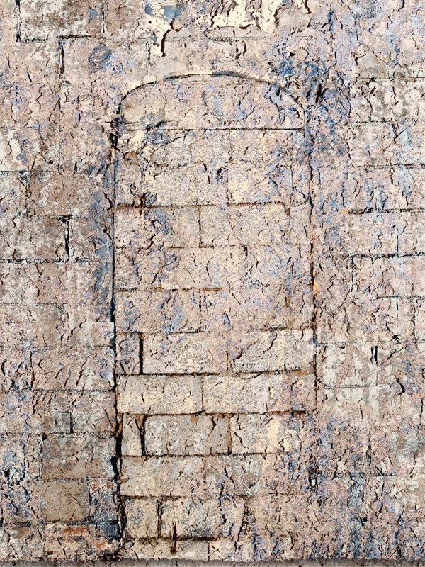 Weathered brick photography backdrop with pale clay and aged blue-gray tones.
