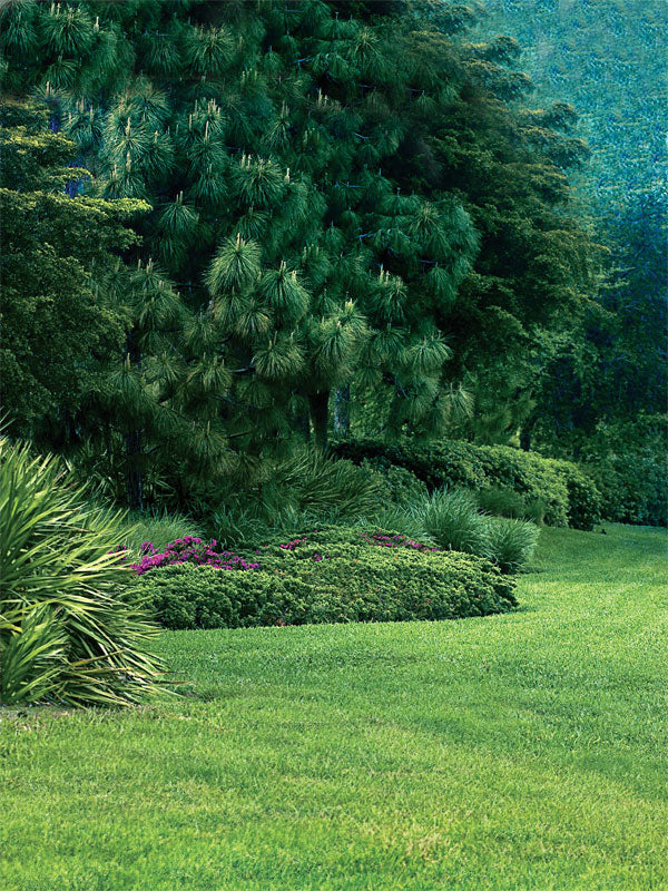 A lush outdoor photography backdrop featuring vibrant green grass, sculpted bushes, and tall pine trees for a natural ambiance.