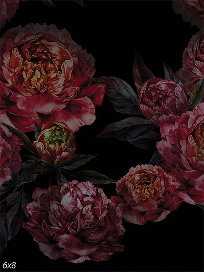 Midnight Peony Floral Photography Backdrop - Bold floral photography backdrop with deep red and pink peonies on a black background.