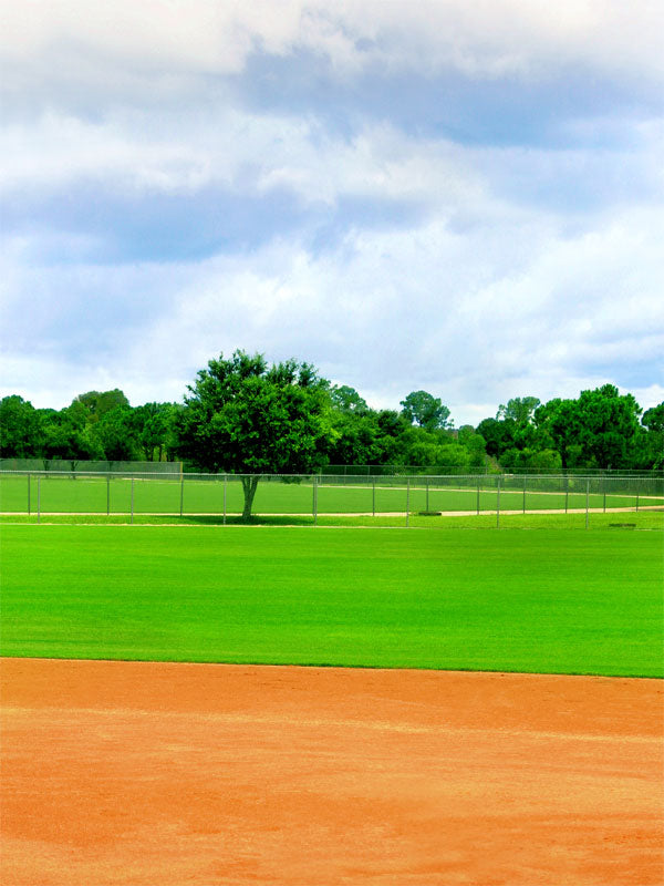 A baseball photography backdrop featuring a lush green field, chain-link fence, and open sky for realistic sports-themed portraits.