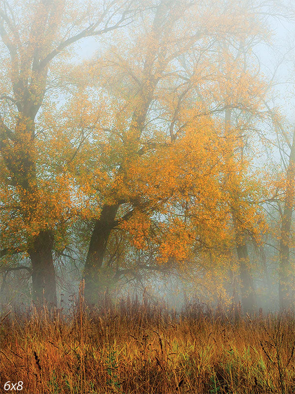 Misty Autumn Forest Photography Backdrop - Photography backdrop featuring a misty autumn forest with golden-yellow trees and soft fog.