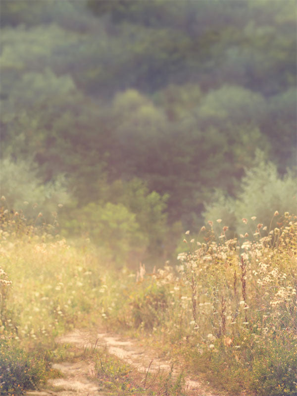 Misty Forest Path Photography Backdrop - Misty forest path photography backdrop featuring a sunlit path through a wildflower meadow with misty trees, perfect for nature-inspired photoshoots.