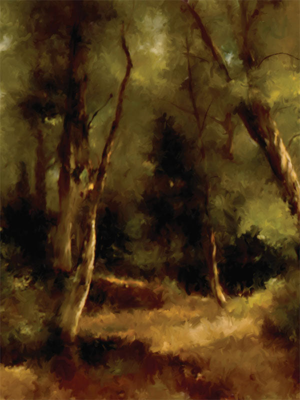 Shadowy woodland scene with golden light and painterly trees.