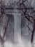 Mystic Iron Gate Photography Backdrop - A mystical photography backdrop featuring an ornate iron gate surrounded by twisted trees and shrouded in fog.