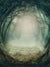 Mystical Forest Path Photography Backdrop - Mystical forest path photography backdrop with fog-covered stone pathway and natural tree arch, perfect for fantasy-themed photoshoots.