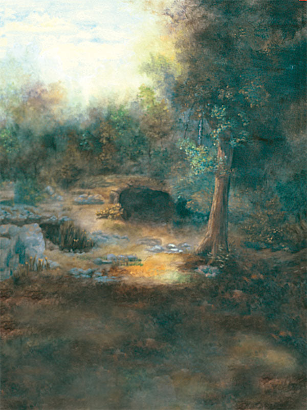 A whimsical fairy photography backdrop featuring a misty forest, glowing light, and a magical atmosphere.