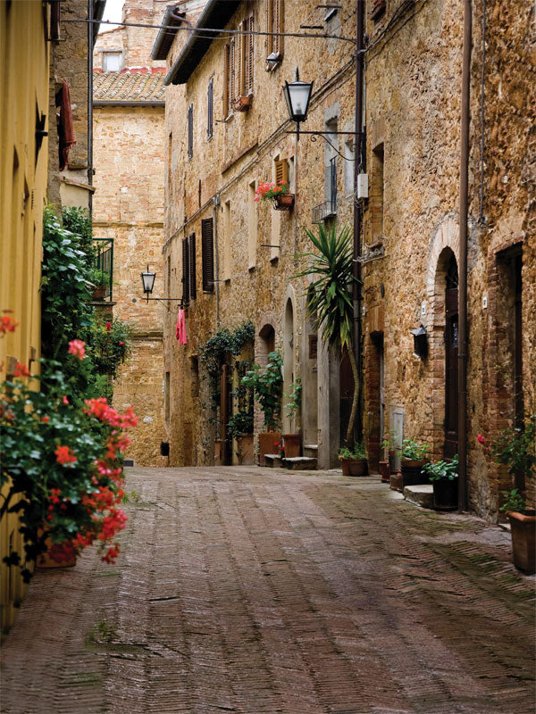 Narrow Italian alley with stone walls, cobblestones, and vibrant flowerpots.