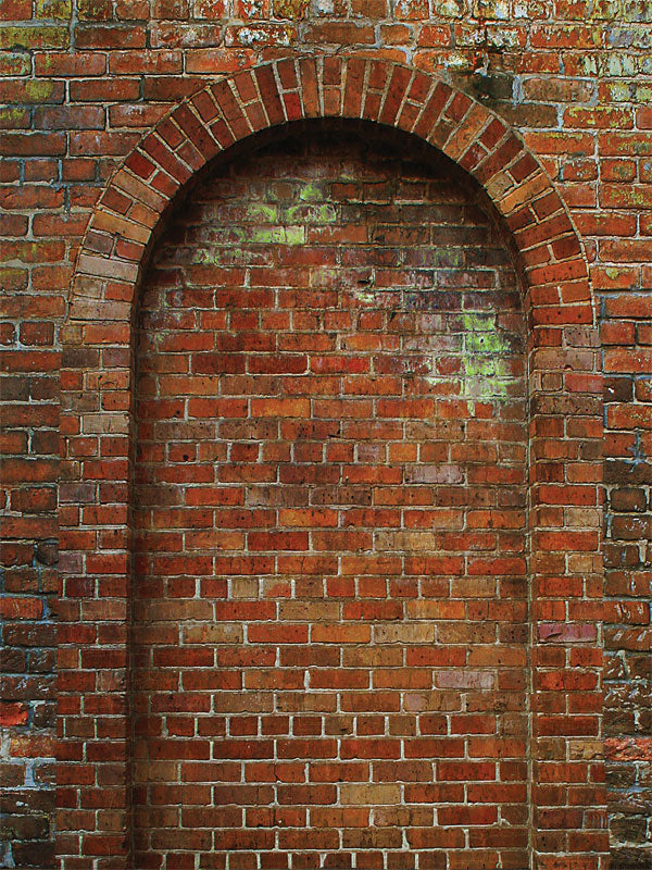 Rustic red brick backdrop with a bold arched design.