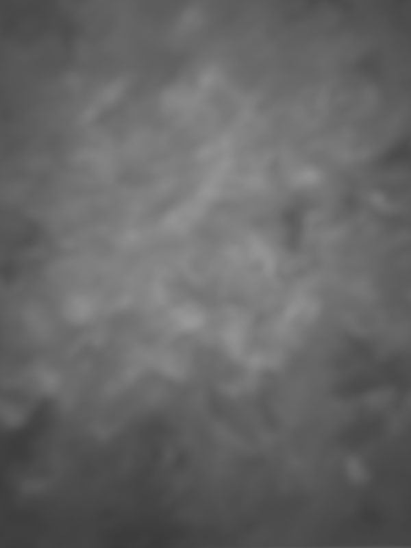 Light Grey Brush Background
