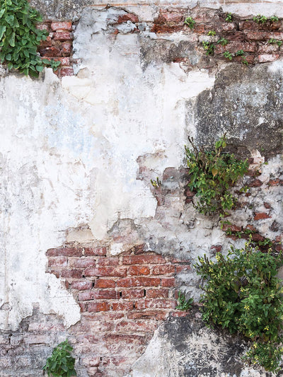 Old Brick Wall Photography Backdrop - Vintage photography backdrop featuring an old brick wall with exposed bricks and creeping ivy, adding a rustic and natural element to photoshoots.