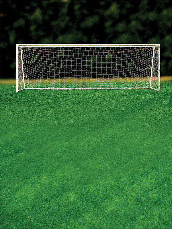 A clean photography backdrop of a soccer goal centered on a green field with a natural tree line in the background.