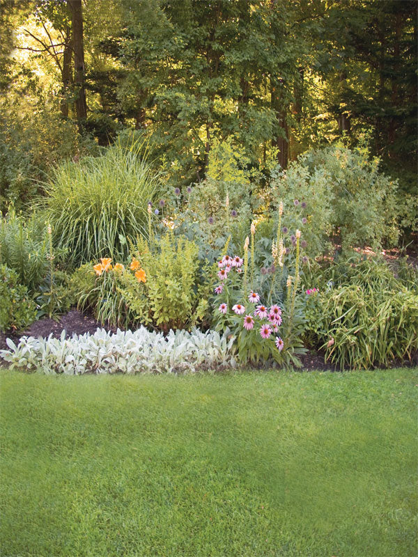 Sunlit park garden with green grass, colorful flowers, and wooded tree line.