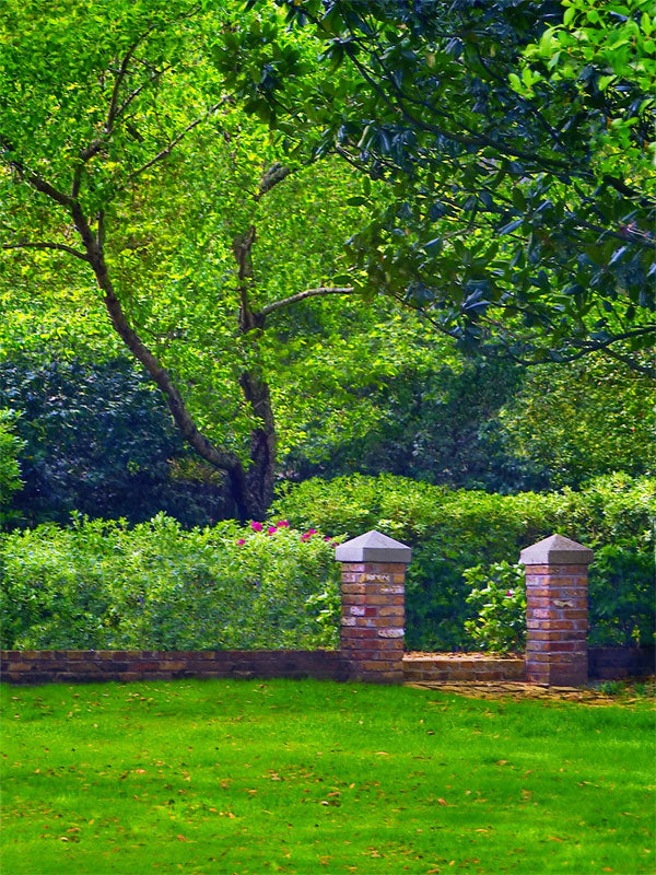 A serene garden photography backdrop with lush green foliage, a brick pathway, and natural outdoor lighting.