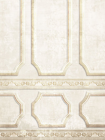 Elegant vintage-style photography backdrop featuring intricate paneling design, ideal for professional studio use.