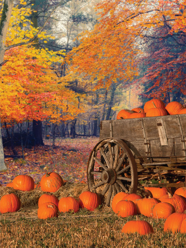 Pumpkin Cart Fall Photography Backdrop - Fall photography backdrop featuring a pumpkin-filled cart with autumn leaves and vibrant colors, perfect for seasonal photoshoots.