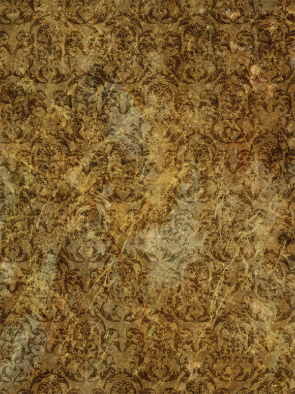 A distressed, brown and gold damask-patterned photography backdrop designed for professional studio use and vintage-inspired portraits.