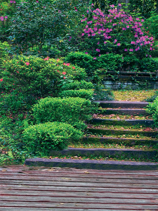 A scenic garden backdrop featuring mossy stone steps, lush greenery, and blooming flowers—perfect for portrait and wedding photography.