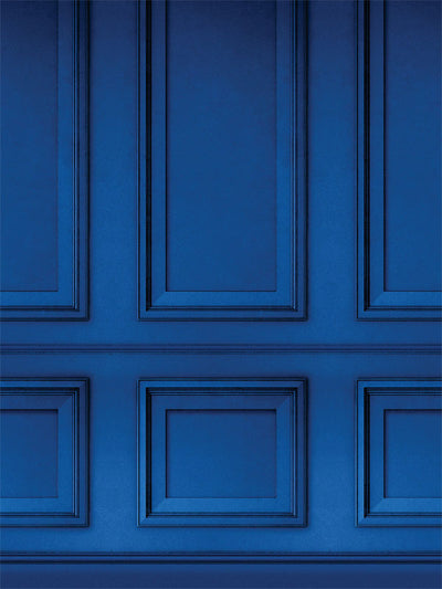 Royal Blue Panel Photography Backdrop - A photography backdrop featuring a rich royal blue paneled design, ideal for professional and elegant photo sessions.