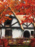 Rustic Autumn Cottage Photography Backdrop - Photography backdrop featuring a rustic autumn cottage surrounded by vibrant red and orange foliage, perfect for creating a cozy, fairytale-like setting.