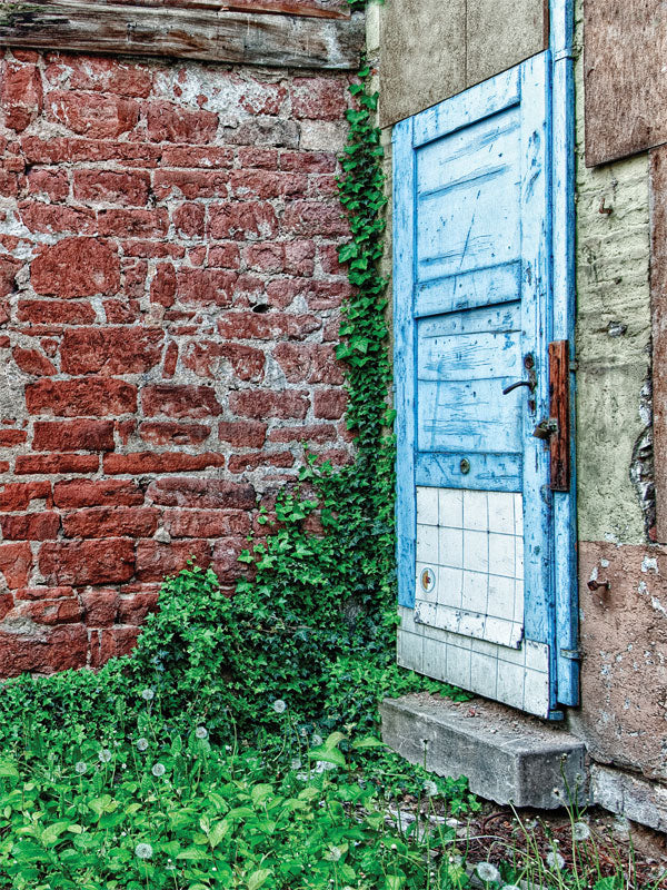 Rustic Blue Door Photo Backdrop - Rustic blue door set against a textured red brick wall with lush green ivy and foliage.