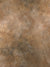 Rustic Earth Tone Photography Backdrop - Rustic Earth Tone Photography Backdrop with a natural stone-like texture in shades of brown, tan, and beige.